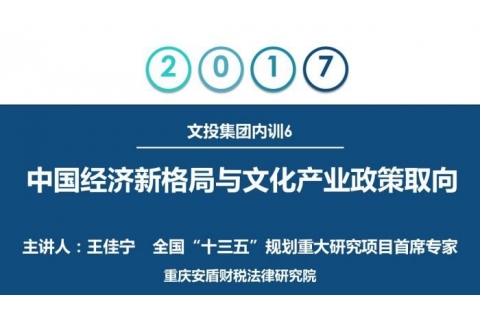 文投集团内训6：王佳宁——中国经济新格局与文化产业政策取向1